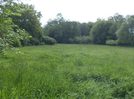 Prodej - pozemek, trvalý travní porost, 2 746 m²