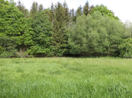 Prodej - pozemek, trvalý travní porost, 2 746 m²