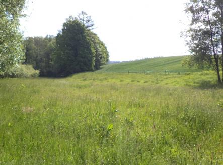 Prodej - pozemek, trvalý travní porost, 2 746 m²