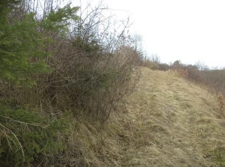 Prodej - pozemek, trvalý travní porost, 683 m²