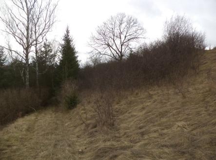 Prodej - pozemek, trvalý travní porost, 683 m²