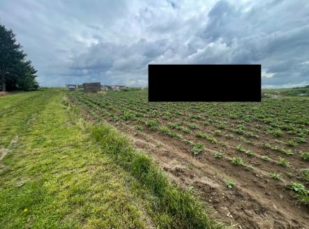 Prodej - pozemek, zemědělská půda, 1 311 m²