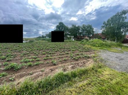 Prodej - pozemek, zemědělská půda, 1 311 m²