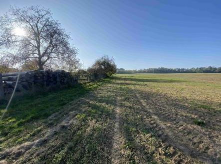 Prodej - pozemek, zemědělská půda, 5 681 m²