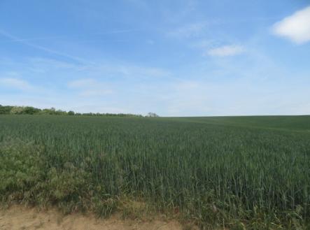 Prodej - pozemek, zemědělská půda, 6 111 m²