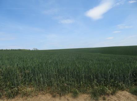 Prodej - pozemek, zemědělská půda, 6 111 m²