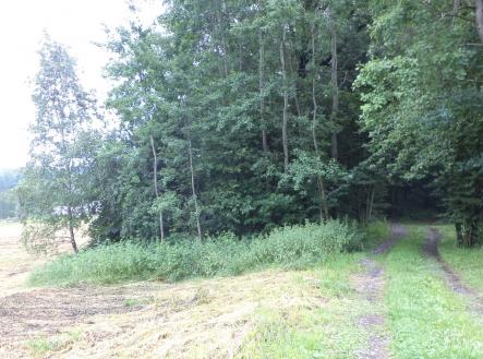 Prodej - pozemek, trvalý travní porost, 17 488 m²