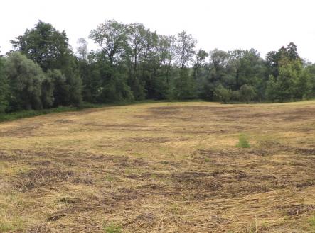 Prodej - pozemek, trvalý travní porost, 17 488 m²