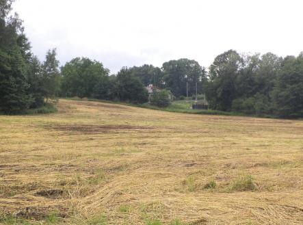 Prodej - pozemek, trvalý travní porost, 17 488 m²