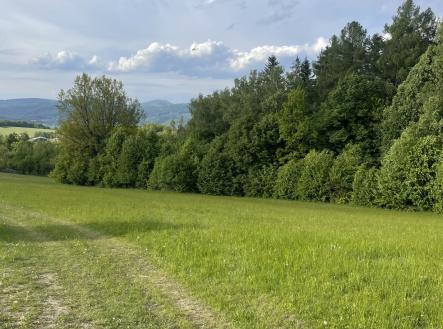 Prodej pozemku, les, 12 993 m²