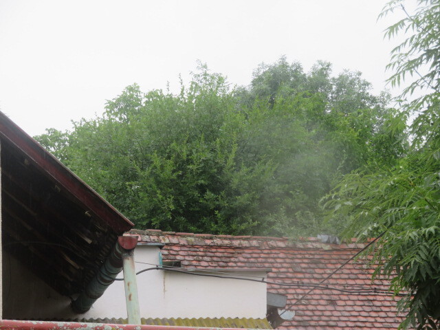 Dražba zahrady v obci Schořov, okr. Kutná Hora