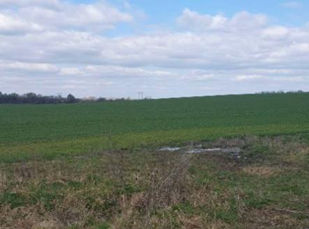 Prodej pozemku, zahrada, 7 558 m²