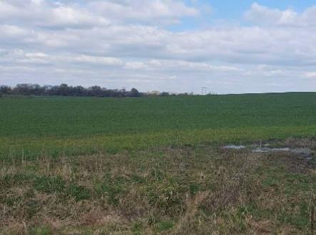 Prodej pozemku, zahrada, 7 558 m²