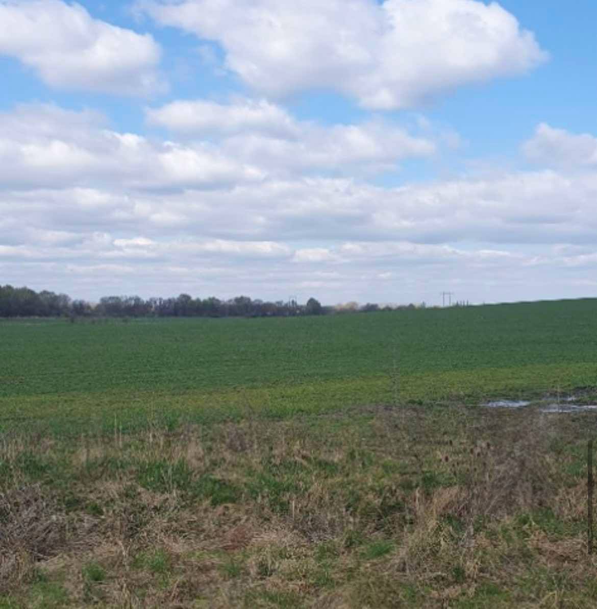 Opakovaná dražba spoluvlastnického podílu ve výši 1/4 na pozemcích v obci Plzeň