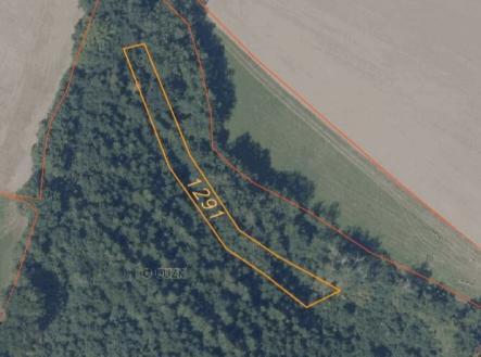 Prodej pozemku, trvalý travní porost, 7 831 m²