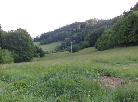 Prodej pozemku, zemědělská půda, 12 576 m²