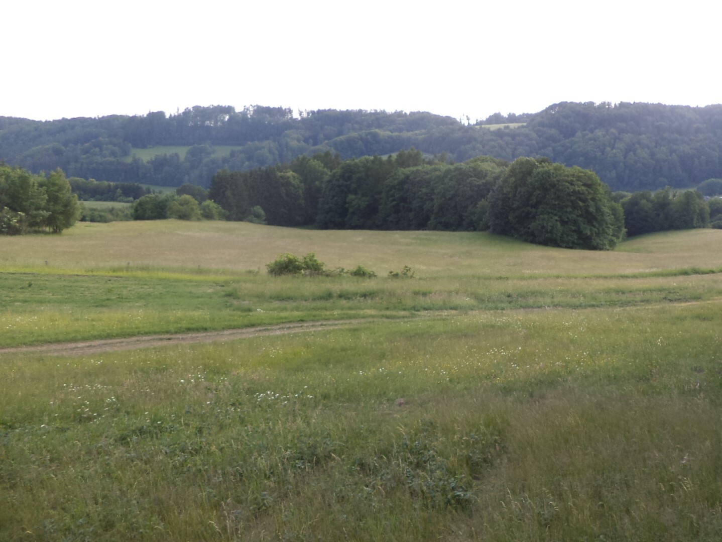 Pozemek o velikosti 12576m2, Bohdalov u Městečka Trnávky
