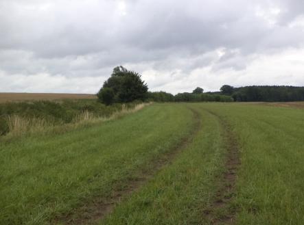 Prodej pozemku, zemědělská půda, 8 654 m²