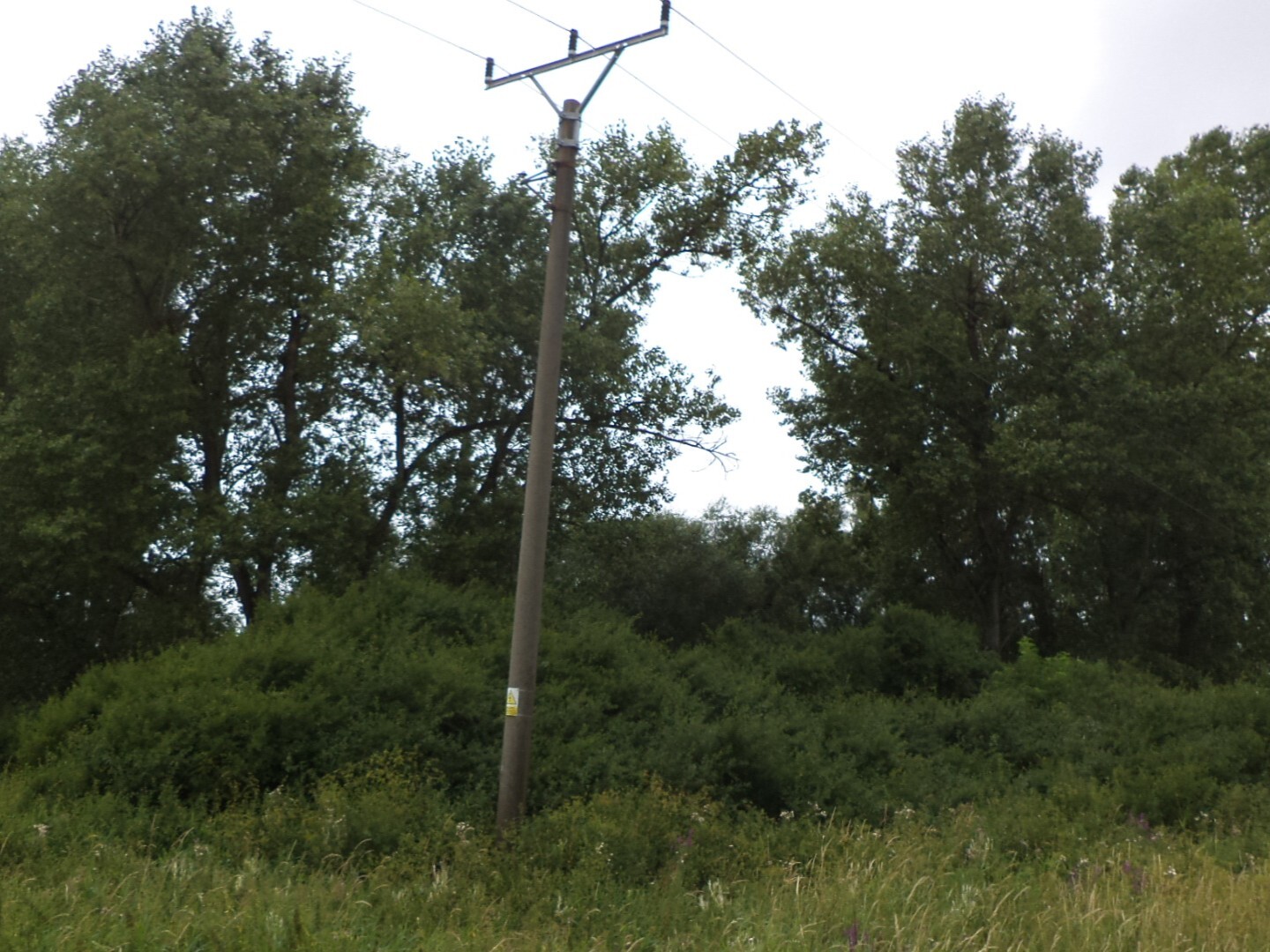 Pozemek o velikosti 8654m2, Záluží u Hořovic