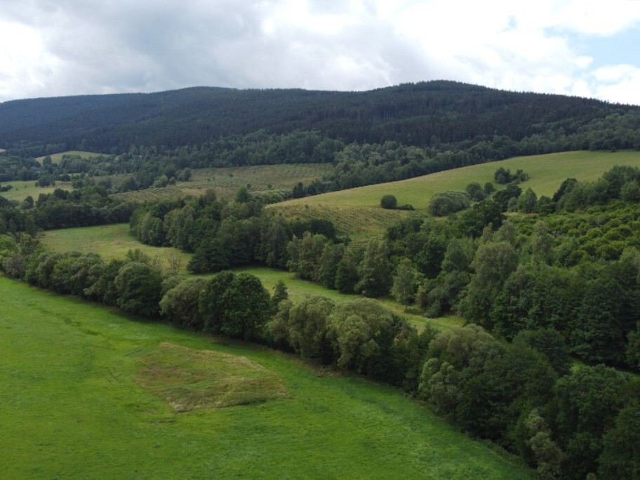 Pozemek o velikosti 67850m2, Oldřichovice u Děpoltic