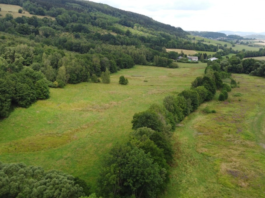 Pozemek o velikosti 67850m2, Oldřichovice u Děpoltic