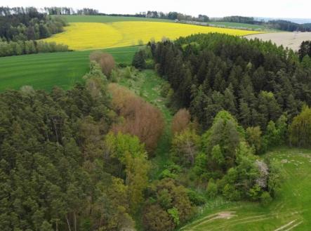 Prodej pozemku, trvalý travní porost, 16 180 m²