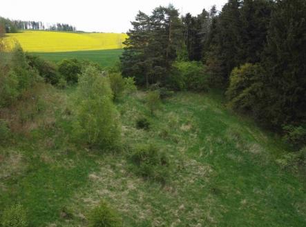 Prodej pozemku, trvalý travní porost, 16 180 m²