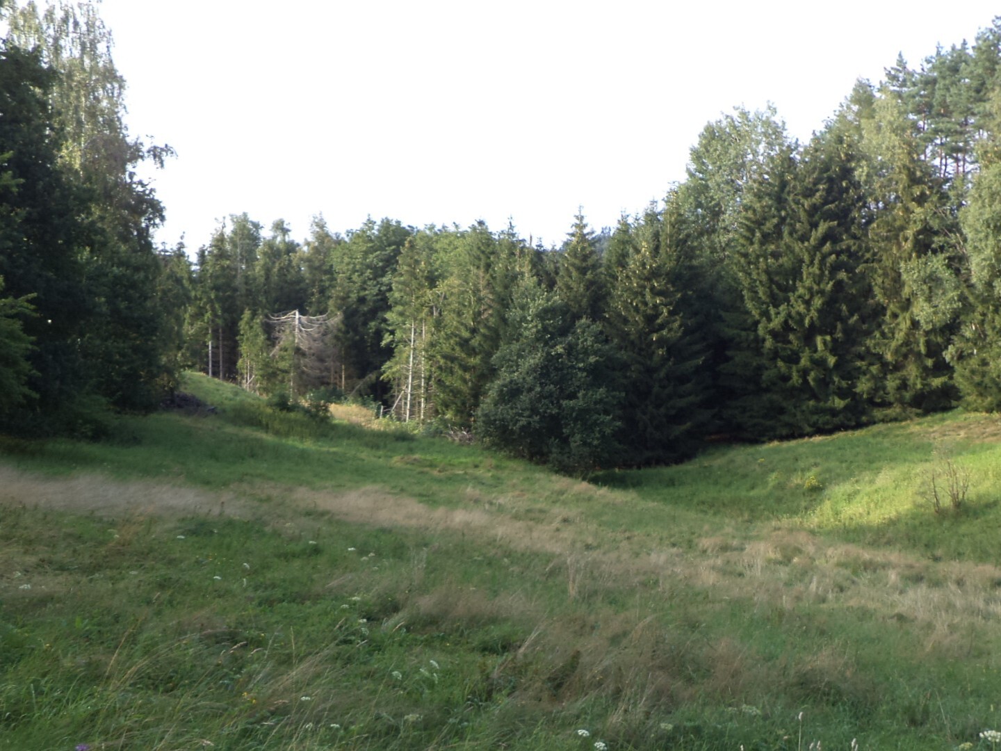 Pozemek o velikosti 71151m2, Horní Dobrouč