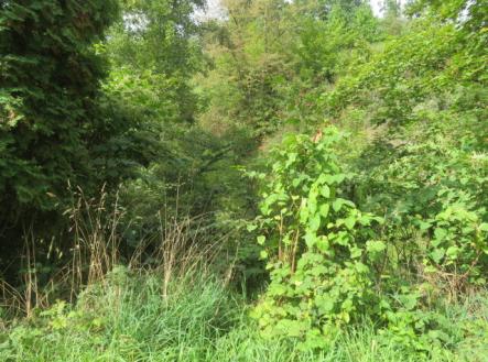 Prodej pozemku, zahrada, 472 m²