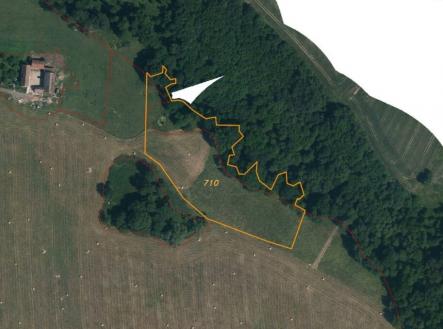 Prodej pozemku, trvalý travní porost, 10 693 m²