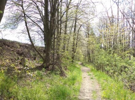 Prodej pozemku, ostatní, 5 357 m²