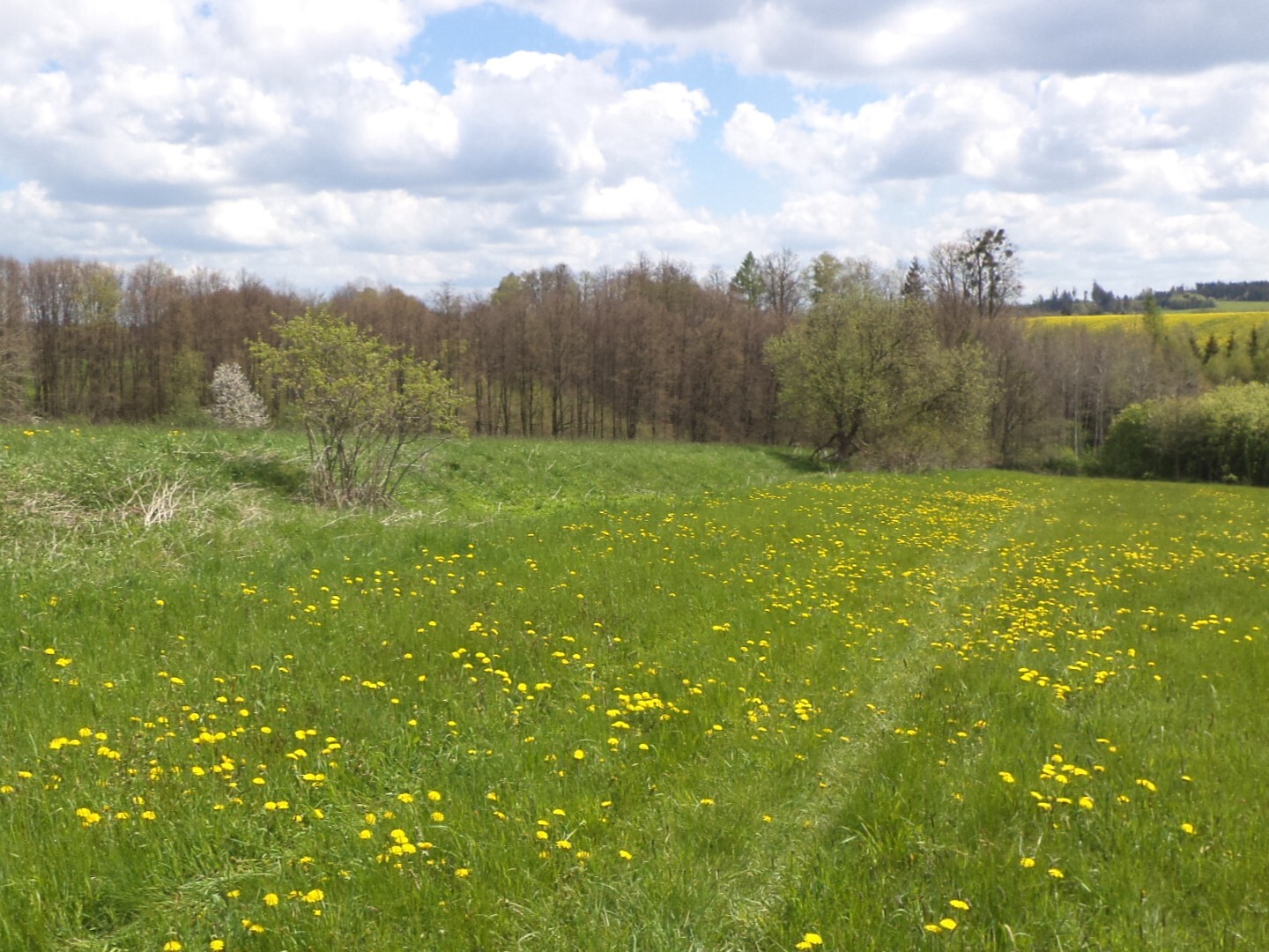 Pozemek o velikosti 5357m2, Vítkov