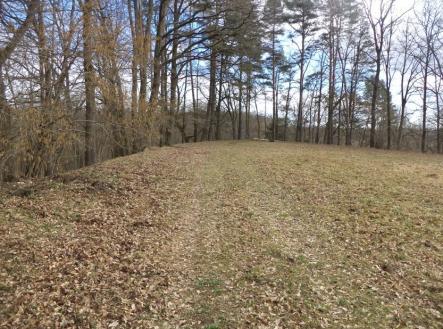 Prodej pozemku, trvalý travní porost, 6 591 m²