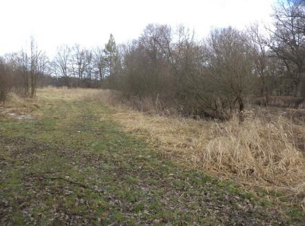 Prodej pozemku, trvalý travní porost, 6 591 m²