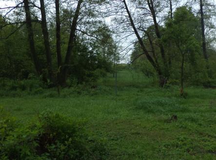 Prodej pozemku, trvalý travní porost, 1 387 m²