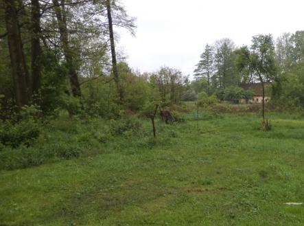 Prodej pozemku, trvalý travní porost, 1 387 m²