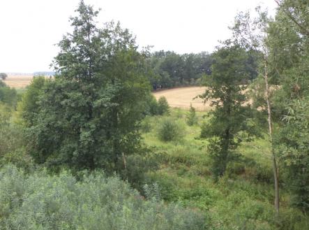 Prodej pozemku, trvalý travní porost, 8 942 m²