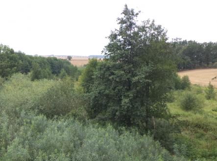 Prodej pozemku, trvalý travní porost, 8 942 m²