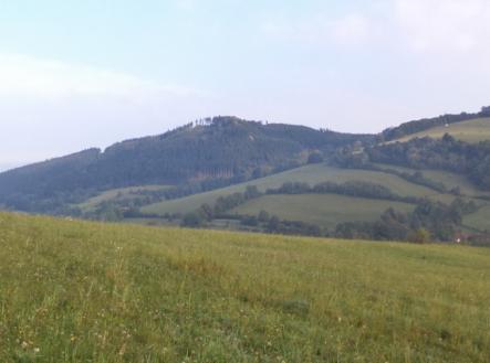 Prodej pozemku, trvalý travní porost, 13 124 m²