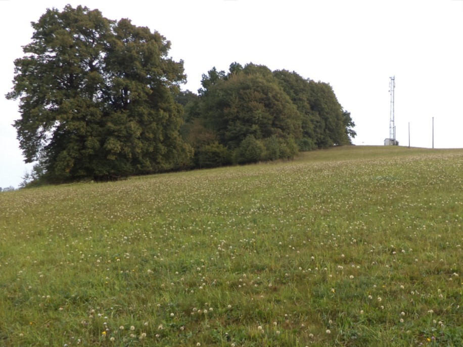 Pozemek o velikosti 13124m2, Rajnochovice