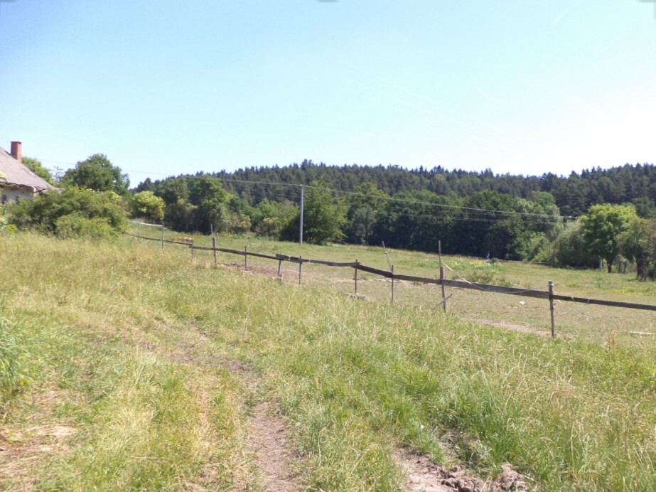 Pozemek o velikosti 2817m2, Držkrajov