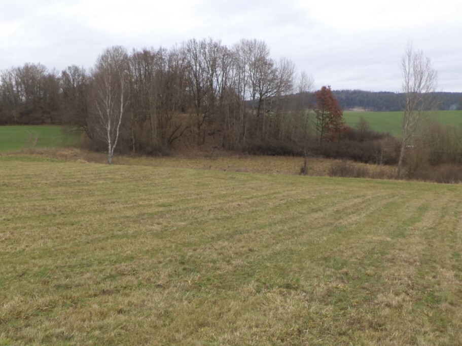 Pozemek o velikosti 19946m2, Srby nad Úslavou