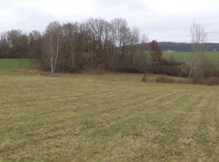 Prodej pozemku, trvalý travní porost, 19 946 m²