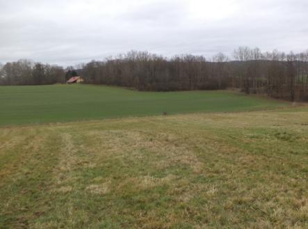 Prodej pozemku, trvalý travní porost, 19 946 m²