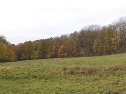 Prodej pozemku, trvalý travní porost, 6 670 m²