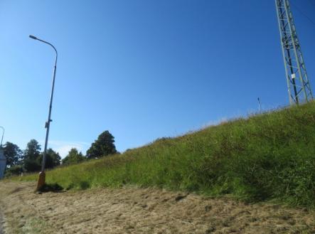 Prodej pozemku, trvalý travní porost, 2 916 m²