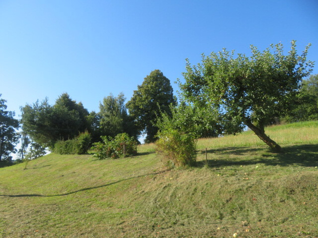 Pozemek o velikosti 2916m2, Opatov v Čechách, podíl 1/6