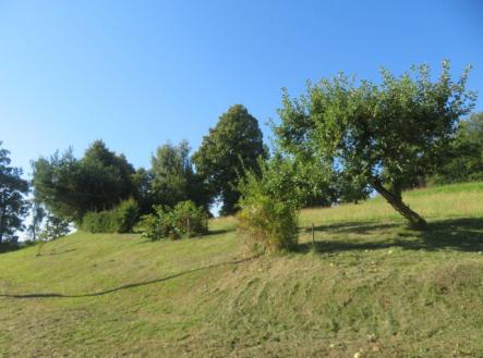 Prodej pozemku, trvalý travní porost, 2 916 m²