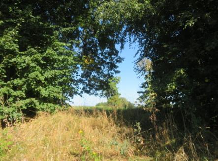 Prodej pozemku, trvalý travní porost, 2 916 m²