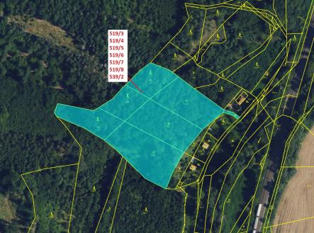 Prodej pozemku, les, 11 294 m²